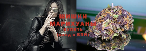 МДПВ Волоколамск