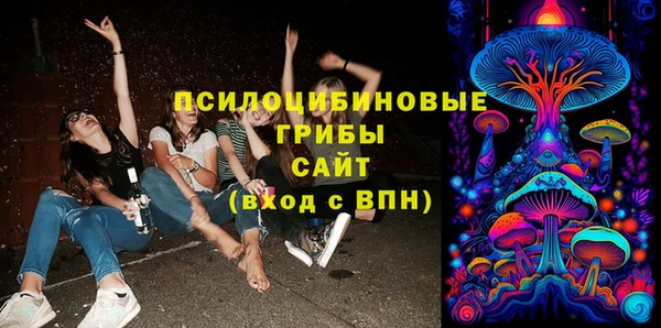 МДПВ Волоколамск