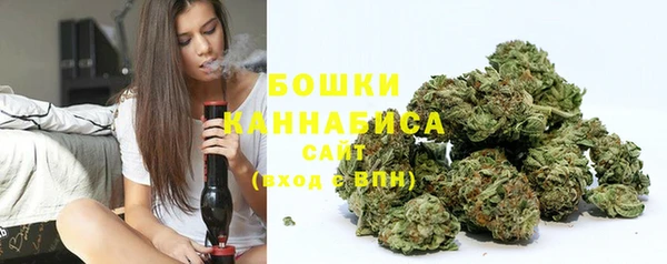 прущие грибы Верея