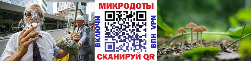 мега Владикавказ Псилоцибиновые грибы ЛСД